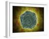 Conceptual Image of the Human Papilloma Virus-null-Framed Art Print