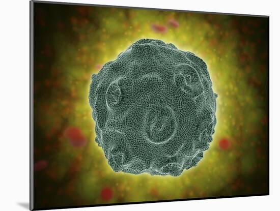 Conceptual Image of the Human Papilloma Virus-null-Mounted Art Print