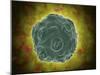 Conceptual Image of the Human Papilloma Virus-null-Mounted Art Print