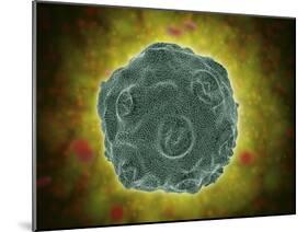 Conceptual Image of the Human Papilloma Virus-null-Mounted Art Print