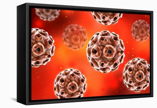 Conceptual image of the human papillomavirus infection virus.-Stocktrek Images-Framed Stretched Canvas