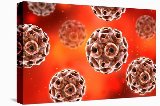 Conceptual image of the human papillomavirus infection virus.-Stocktrek Images-Stretched Canvas