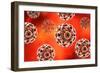 Conceptual image of the human papillomavirus infection virus.-Stocktrek Images-Framed Art Print