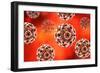 Conceptual image of the human papillomavirus infection virus.-Stocktrek Images-Framed Art Print