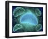 Conceptual Image of the Influenza Causing Flu Virus-null-Framed Art Print