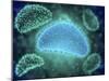 Conceptual Image of the Influenza Causing Flu Virus-null-Mounted Art Print