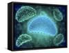 Conceptual Image of the Influenza Causing Flu Virus-null-Framed Stretched Canvas