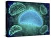 Conceptual Image of the Influenza Causing Flu Virus-null-Stretched Canvas