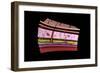 Conceptual Image of the Layers of Human Skin-null-Framed Art Print