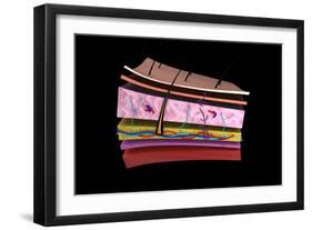 Conceptual Image of the Layers of Human Skin-null-Framed Art Print