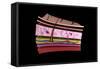 Conceptual Image of the Layers of Human Skin-null-Framed Stretched Canvas