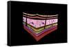 Conceptual Image of the Layers of Human Skin-null-Framed Stretched Canvas