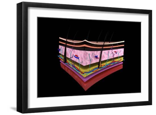 Art Print, , large