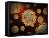 Conceptual Image of the Zika Virus-Stocktrek Images-Framed Stretched Canvas