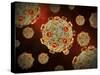 Conceptual Image of the Zika Virus-Stocktrek Images-Stretched Canvas