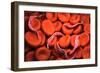 Conceptual Image of Trypanosoma-null-Framed Premium Giclee Print