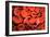 Conceptual Image of Trypanosoma-null-Framed Premium Giclee Print