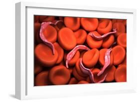 Conceptual Image of Trypanosoma-null-Framed Premium Giclee Print