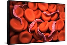 Conceptual Image of Trypanosoma-null-Framed Stretched Canvas