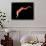 Conceptual Image of Trypanosoma-null-Framed Art Print displayed on a wall