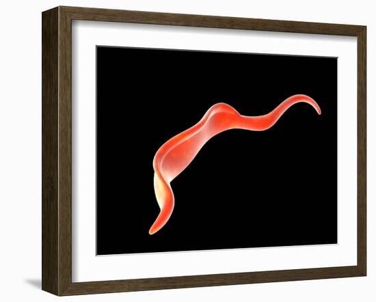 Conceptual Image of Trypanosoma-null-Framed Art Print