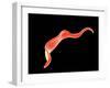 Conceptual Image of Trypanosoma-null-Framed Art Print