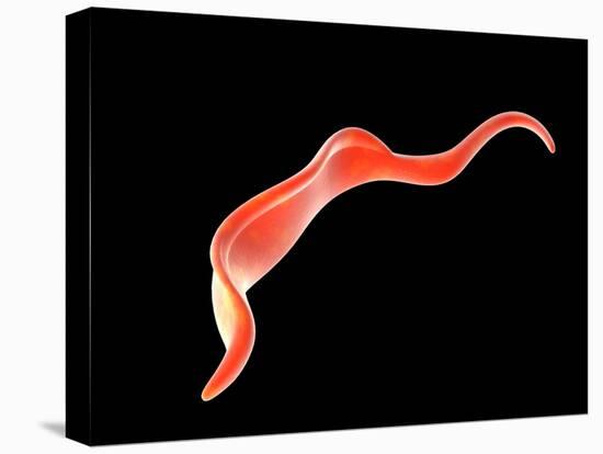 Conceptual Image of Trypanosoma-null-Stretched Canvas