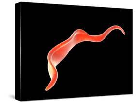 Conceptual Image of Trypanosoma-null-Stretched Canvas