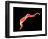 Conceptual Image of Trypanosoma-null-Framed Art Print