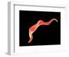 Conceptual Image of Trypanosoma-null-Framed Art Print