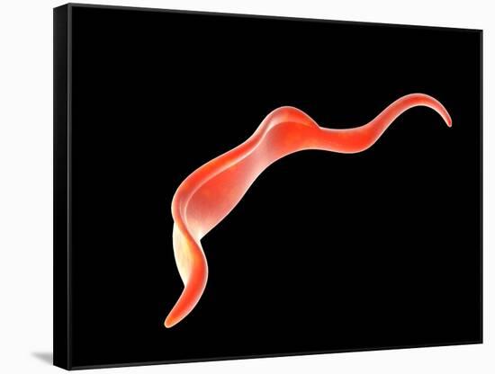 Conceptual Image of Trypanosoma-null-Framed Stretched Canvas