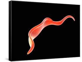 Conceptual Image of Trypanosoma-null-Framed Stretched Canvas