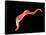 Conceptual Image of Trypanosoma-null-Framed Stretched Canvas