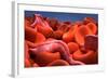 Conceptual Image of Trypanosoma-null-Framed Art Print