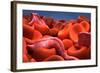 Conceptual Image of Trypanosoma-null-Framed Art Print