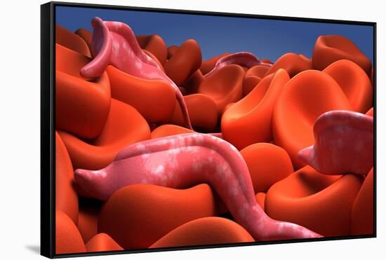 Conceptual Image of Trypanosoma-null-Framed Stretched Canvas