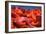 Conceptual Image of Trypanosoma-null-Framed Art Print