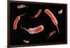 Conceptual Image of Vibrio Cholerae Causing Cholera-null-Framed Art Print