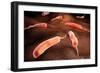 Conceptual Image of Vibrio Cholerae Causing Cholera-null-Framed Art Print