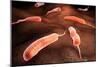 Conceptual Image of Vibrio Cholerae Causing Cholera-null-Mounted Art Print