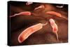 Conceptual Image of Vibrio Cholerae Causing Cholera-null-Stretched Canvas