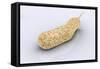 Conceptual Image of Vibrio Cholerae Causing Cholera-null-Framed Stretched Canvas