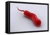 Conceptual Image of Vibrio Cholerae Causing Cholera-null-Framed Stretched Canvas