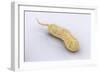 Conceptual Image of Vibrio Cholerae Causing Cholera-null-Framed Art Print