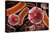 Conceptual image of virus and bacteria.-Stocktrek Images-Stretched Canvas