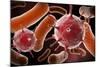 Conceptual image of virus and bacteria.-Stocktrek Images-Mounted Art Print