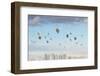 Conceptual Image with Colorful Balloons Flying High in Sky-Sergey Nivens-Framed Photographic Print