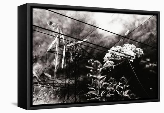 Conceptual Image with Flowers-Clive Nolan-Framed Stretched Canvas