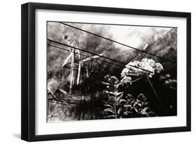 Conceptual Image with Flowers-Clive Nolan-Framed Photographic Print