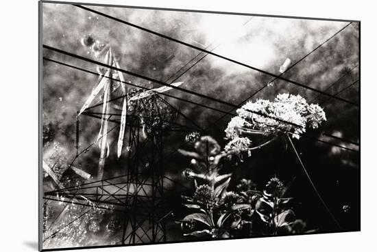 Conceptual Image with Flowers-Clive Nolan-Mounted Photographic Print